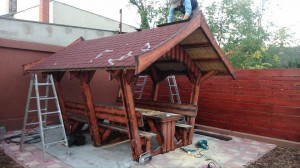 10420391 989209617761962 5292863049911125519 n