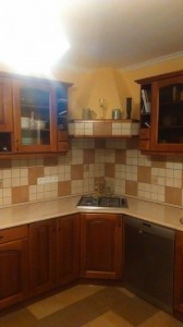 12459548 1000525626672441 425880447 n